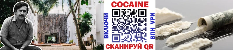 Купить закладки  Нижнеудинск  COCAIN FishScale 