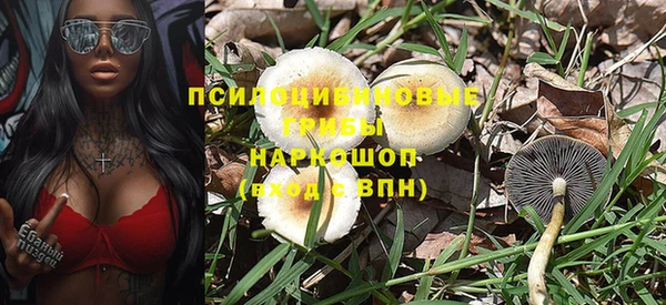 винт Заводоуковск