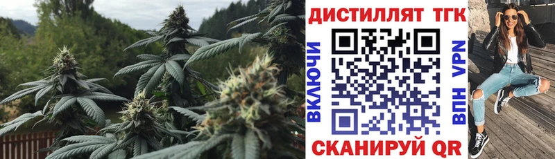Купить закладки  Нижнеудинск  ТГК Wax 