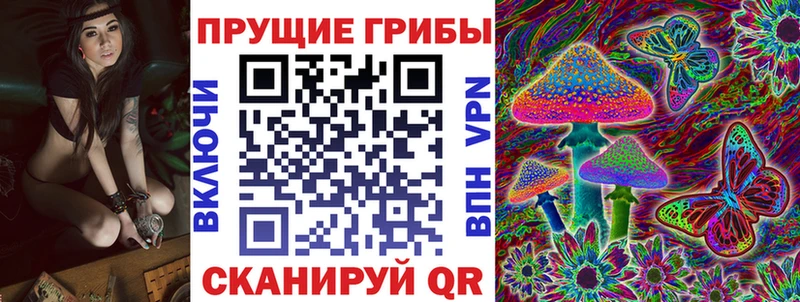 Купить закладки  Нижнеудинск  Псилоцибиновые грибы мухоморы 